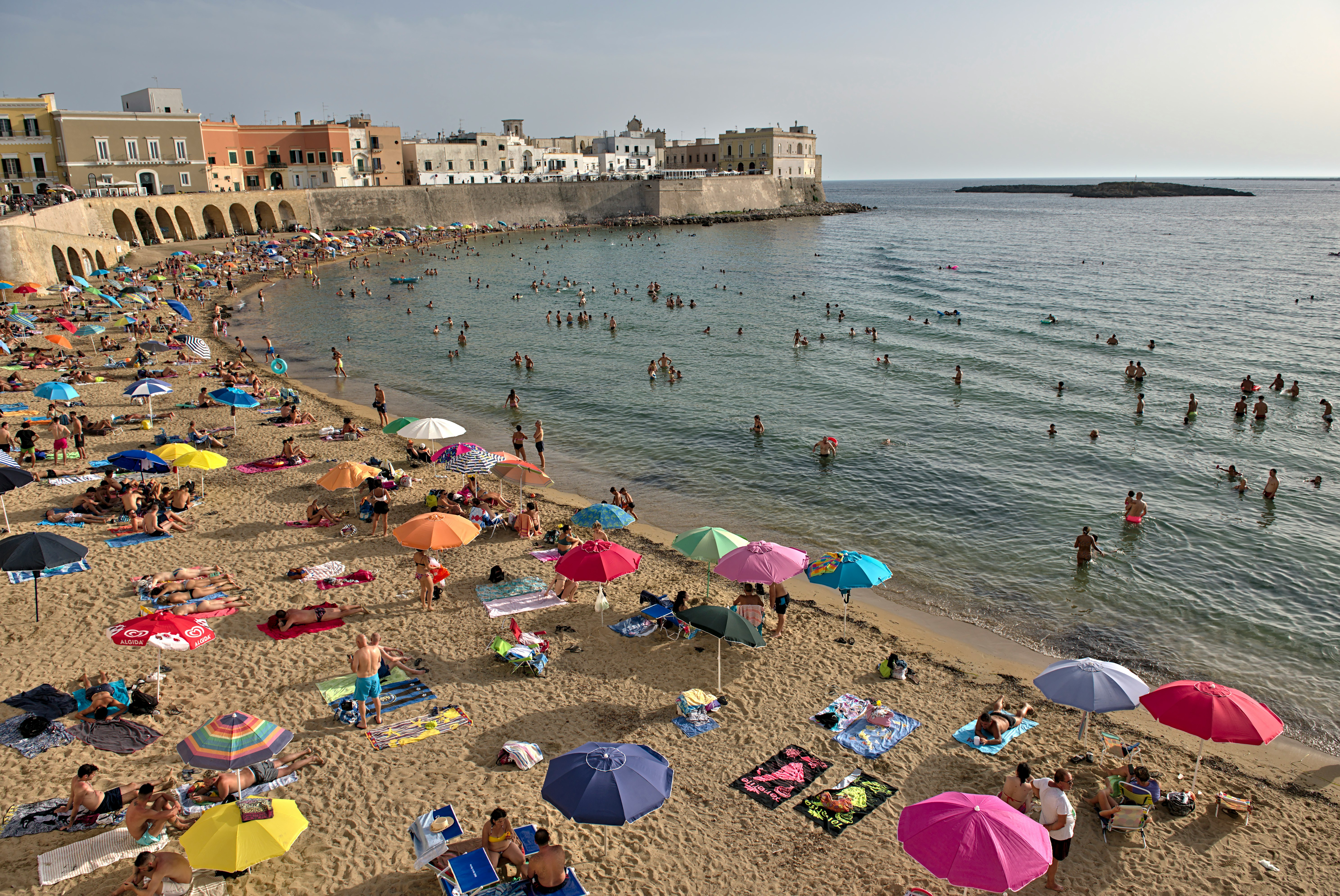 people on beach during daytime